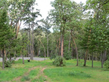 Grants Pass property sale in Oregon United States. Oregon : Gorgeous 5 acres, Grants Pass, Oregon